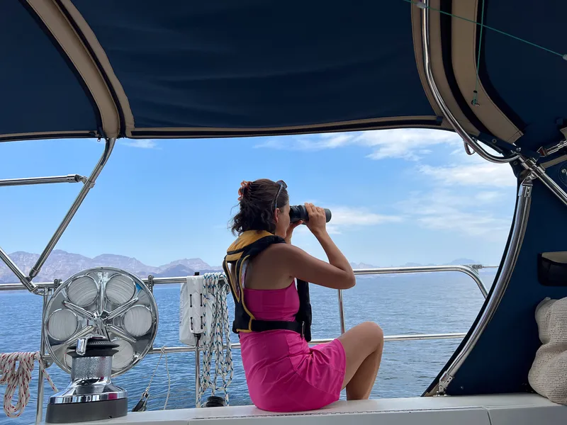 Scanning the horizon through binoculars